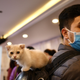 El CDC recomienda distanciar a las mascotas después de que dos gatos dieran positivo por Coronavirus